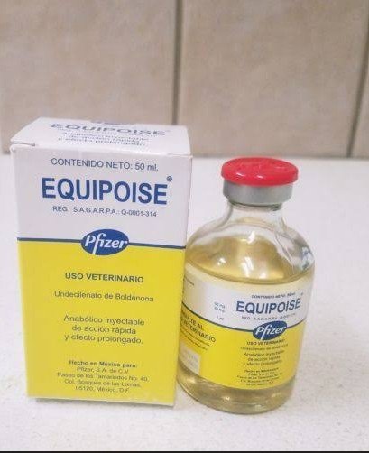 Cheap Equipoise (Boldenone Undecylenate)